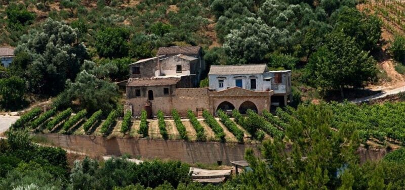 Chania: Milia Mountain Tour W/Lunch Olive Oil/Wine Tastings - Pickup and Transportation Details