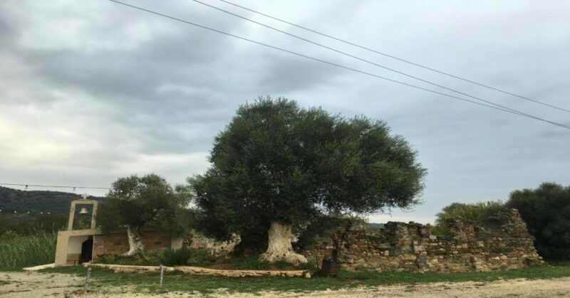 Chania Monasteries Private Tour: A Greek Orthodoxy Tribute - Visiting the Byzantine Church Complex
