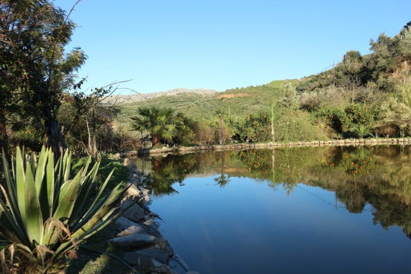 Chania: Nature Road Trip With Botanical Garden and Lunch! - Itinerary and Highlights