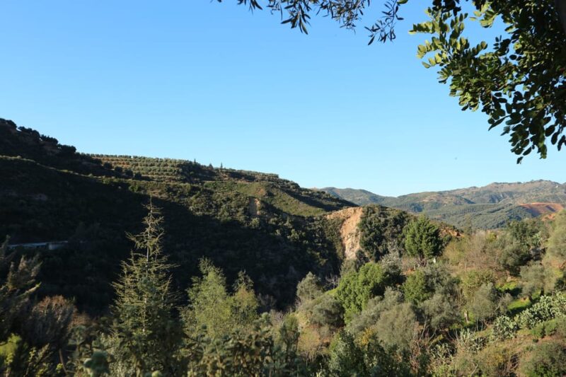 Chania: Nature Road Trip With Botanical Garden and Lunch! - Scenic Experience