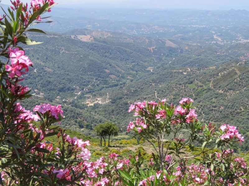 Chania: Nature Road Trip With Botanical Garden and Lunch! - Culinary Experience