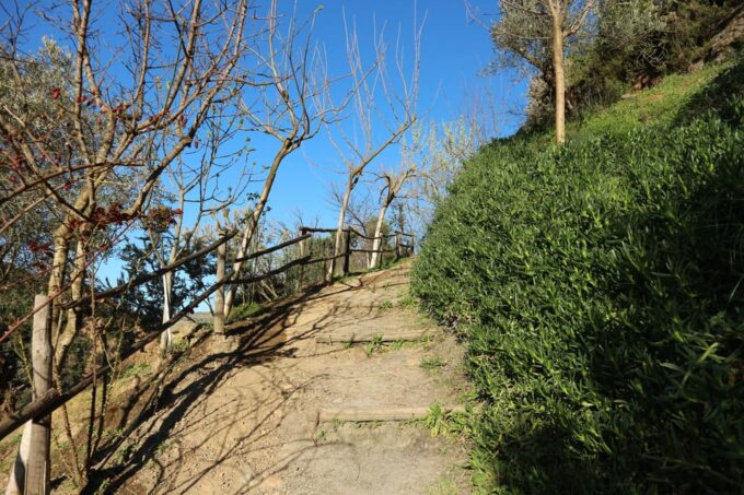 Chania: Nature Road Trip With Botanical Garden and Lunch! - Traditional Village Exploration