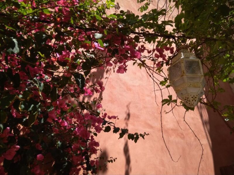 Chania Old Town: Vegan Food & Sightseeing Walking Tour - Essential Packing Tips