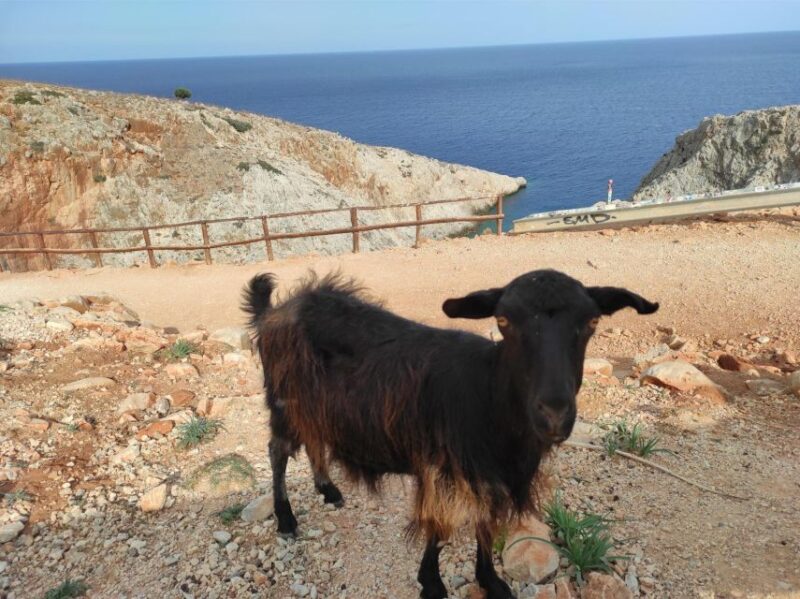 Chania Pink Sand Beaches Private Tour: Elafonisi & Falasarna - Elafonisi Beach Immersion