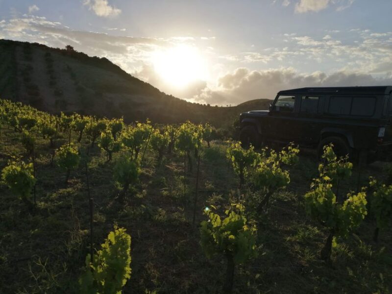Chania Premium Sunset Safari Tour - Off-Road Driving Experience