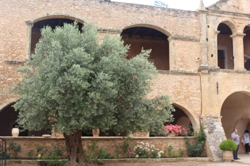 Chania Private Olive Oil Tour: Oil Tasting & Villages Tour - Olive Oil Varieties