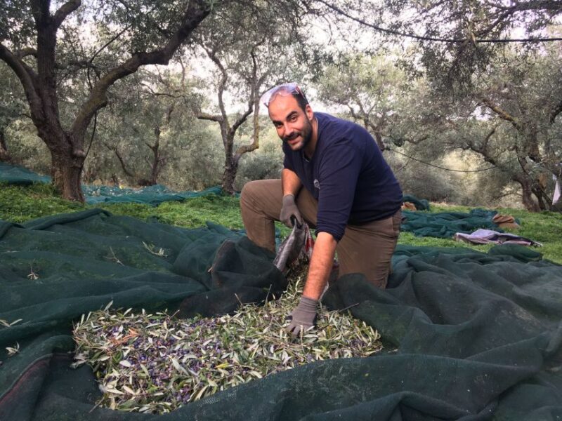 Chania Private Olive Oil Tour: Oil Tasting & Villages Tour - Modern Olive Oil Factory