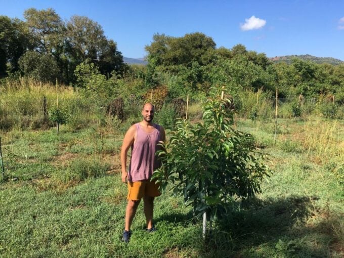 Chania Private Olive Oil Tour: Oil Tasting & Villages Tour - Frequently Asked Questions