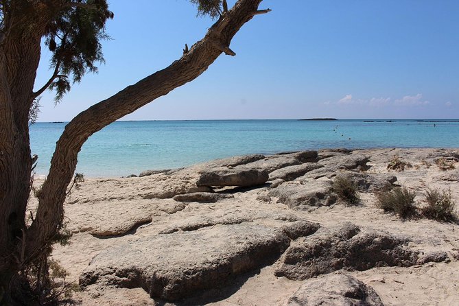 Chania Private Tour To Elafonissi and Falasarna - Reviews and Feedback