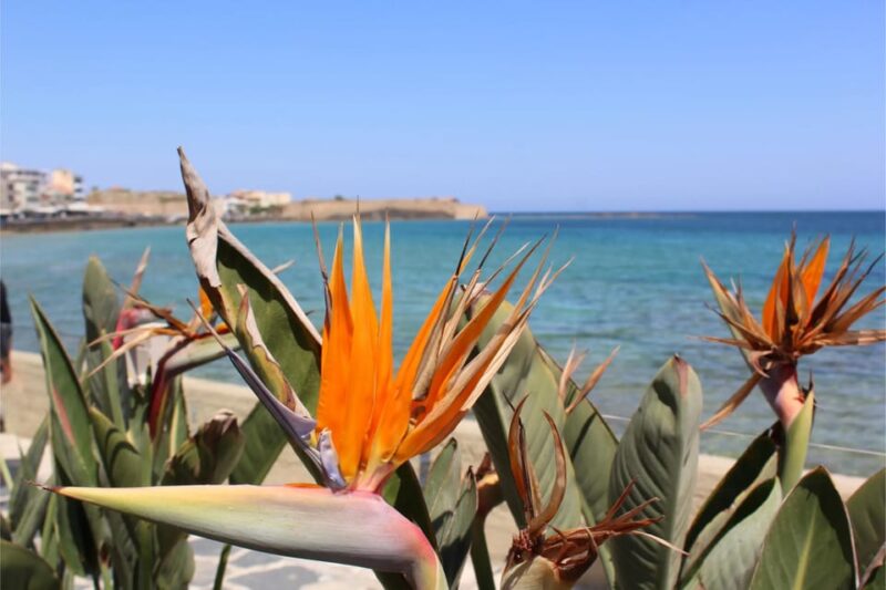 Chania: Private Walking Tour: History, Sights, Food & Senses - Chanias Historic Periods