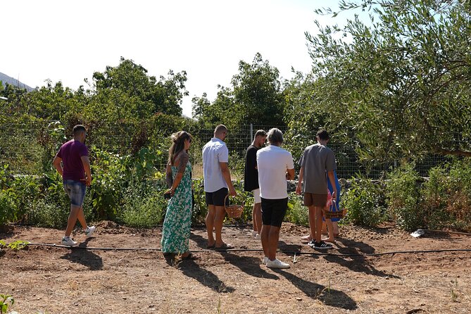Chania Sourdough Bread Baking Class Olive Oil Tasting - Savoring the Olive Oil Tasting