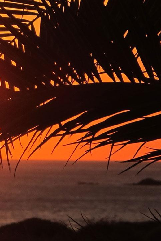 Chania: Sunset Wine Tasting Tour in Falasarna With Transfer - Frequently Asked Questions