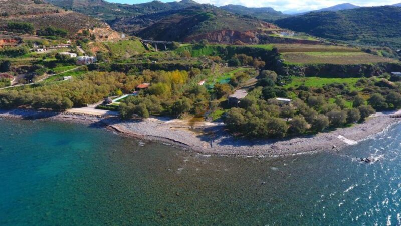 Chania Tasting Tour (Bakery, Olive Oil, Honey & Cheese) - Transportation and Logistics