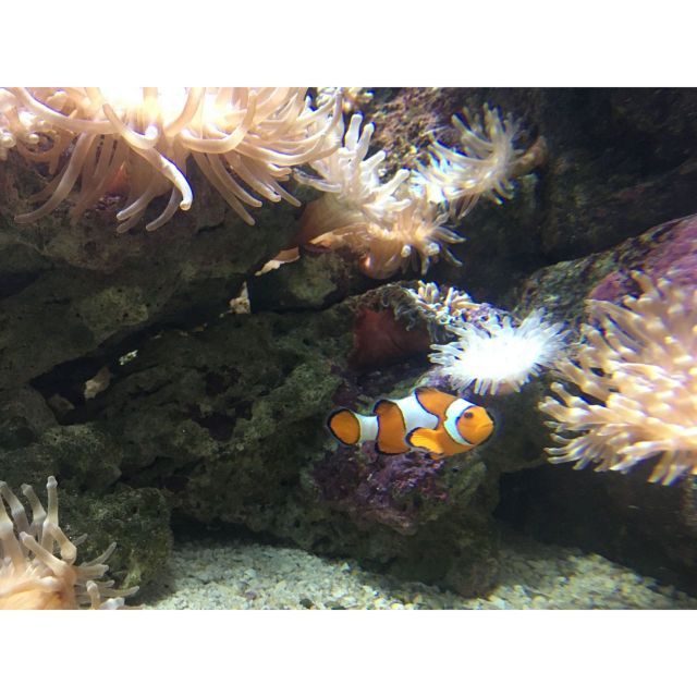 Chania to Creta Aquarium- Heraklion City Private Guided Tour - Pickup and Dropoff