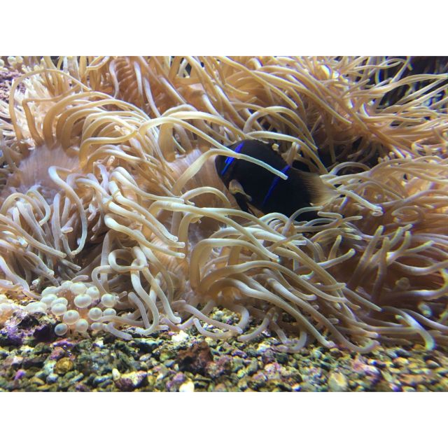 Chania to Creta Aquarium- Heraklion City Private Guided Tour - Heraklion City Visit