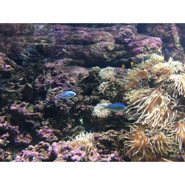 Chania to Creta Aquarium- Heraklion City Private Guided Tour - Tour Logistics