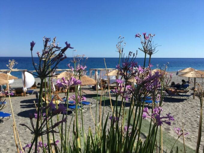 Chania to Elafonissi Beach/ Cretan Villages Private Transfer - Cancellation and Pricing Details