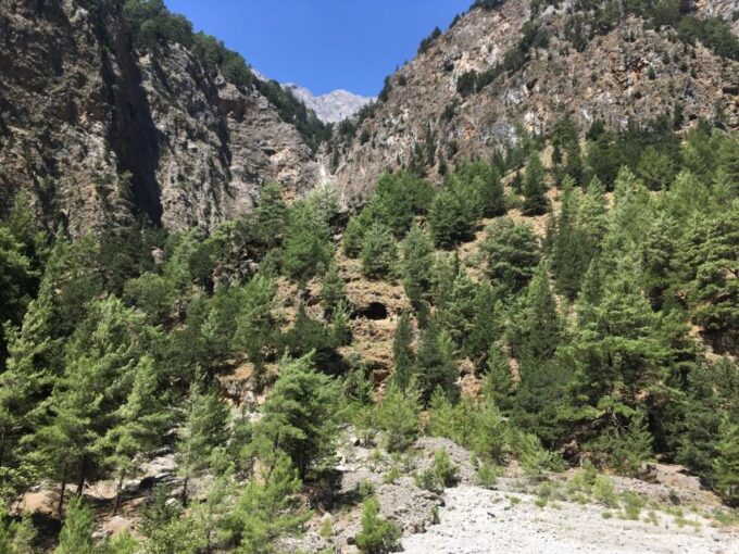 Chania to Imbros Gorge Private Full Day Transfer Tour - Restrictions and Limitations