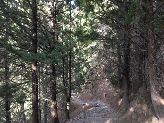 Chania to Samaria Gorge: Private Transfer Tour - Frequently Asked Questions