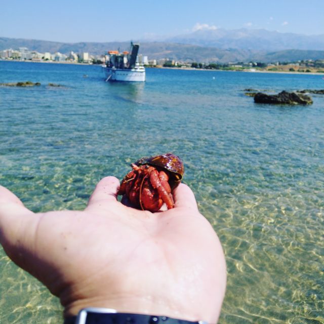 Chania Town: Glass-Bottom Boat Cruise to Thodorou & Lazareta - Duration and Price