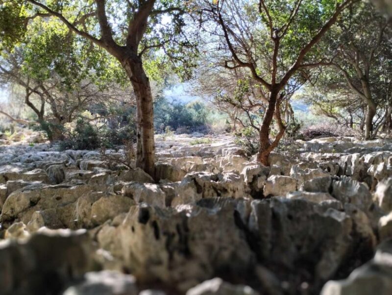 Chania: Traditional Villages, Local Producers and Artisans - Personal Expenses