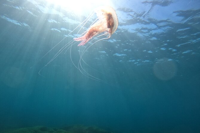 Chania Try Scuba Diving for Beginners - Meeting and Pickup Information