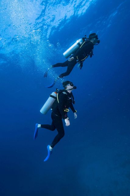 Chania:Try Scuba Diving 2shore Dives(Receive Certification) - Dive Along Chanias Coastline