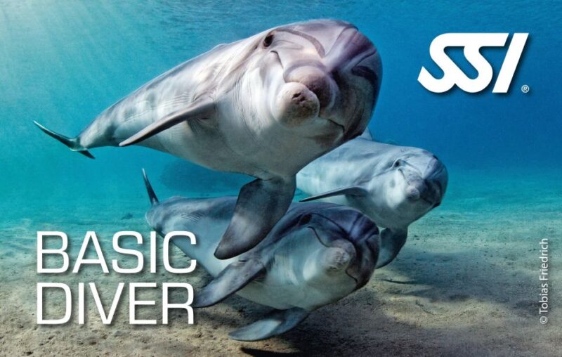 Chania:Try Scuba Diving 2shore Dives(Receive Certification) - Basic Diver Certification Received