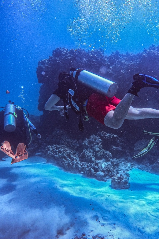 Chania:Try Scuba Diving 2shore Dives(Receive Certification) - Frequently Asked Questions