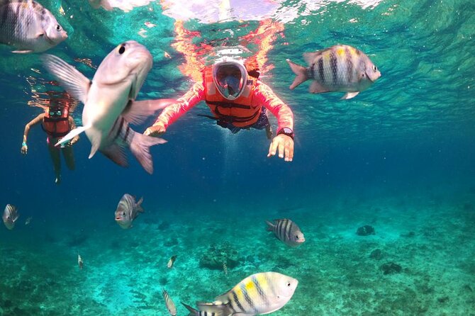 Chankanaab Park Cozumel Day Pass and Snorkel With Lunch - Package Inclusions and Pricing