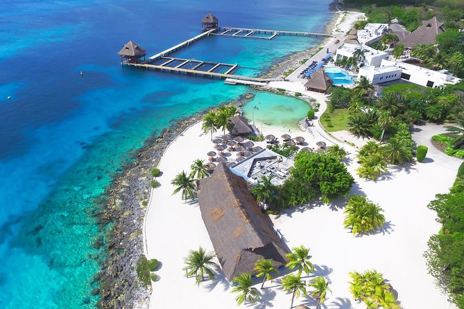 Chankanaab Park Cozumel Day Pass and Snorkel With Lunch - Visitor Experiences and Ratings