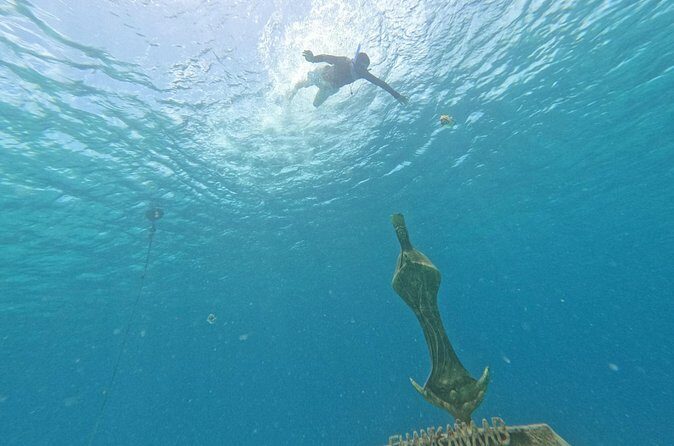 Chankanaab Park entrance ticket with snorkeling and buffet included - Food, drinks, and overall value