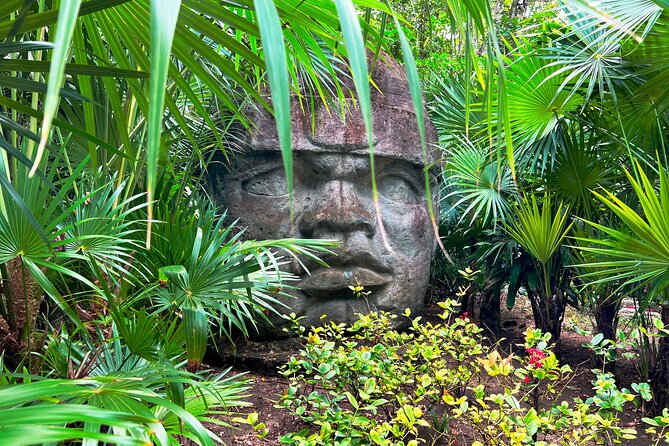 Chankanaab Park Premium Day Pass With Lunch and Open Bar - Recommendations for Visitors