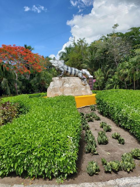 Chankanaab Park Premium Day Pass With Open Bar and Lunch - Key Points