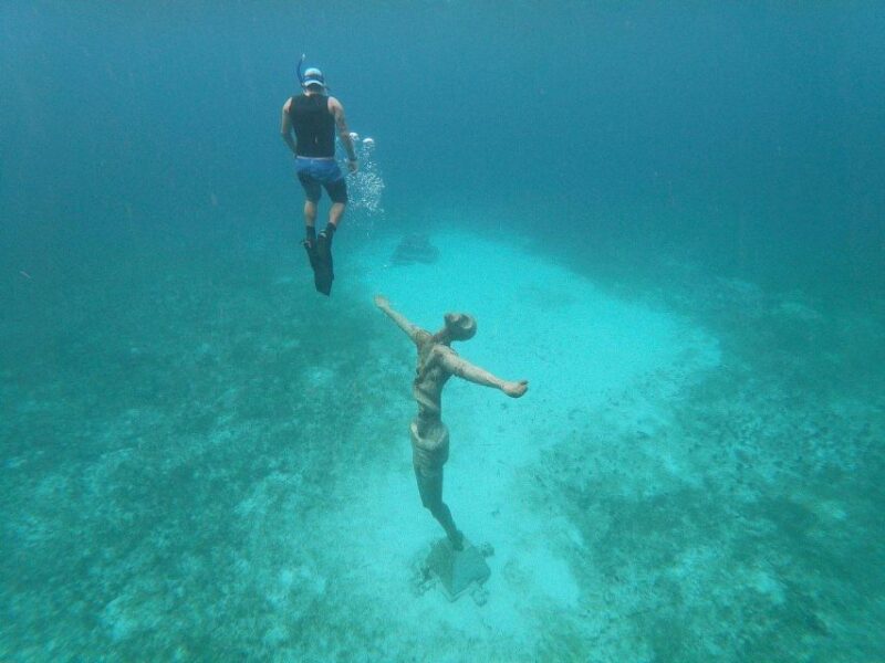 Chankanaab Park Premium Day Pass With Open Bar and Lunch - Experience Highlights