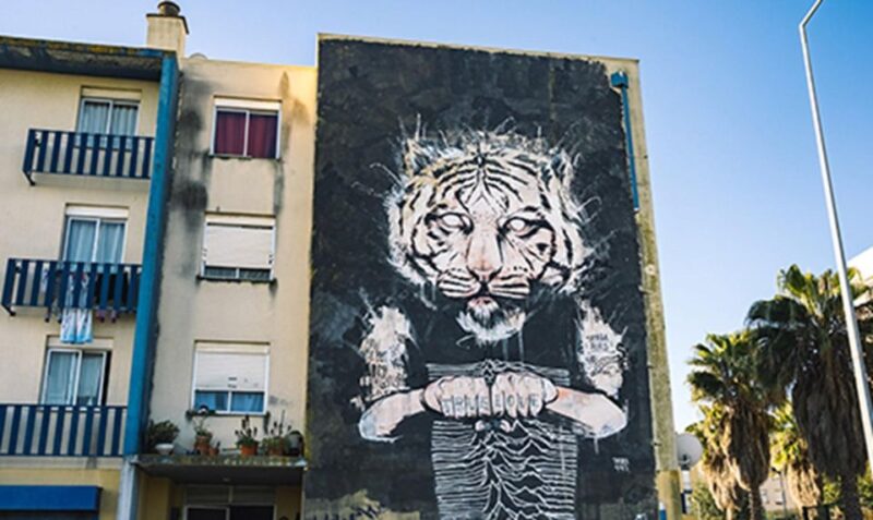 Chaparru's Street Art Tuk Tuk Tour 3 H - Key Points