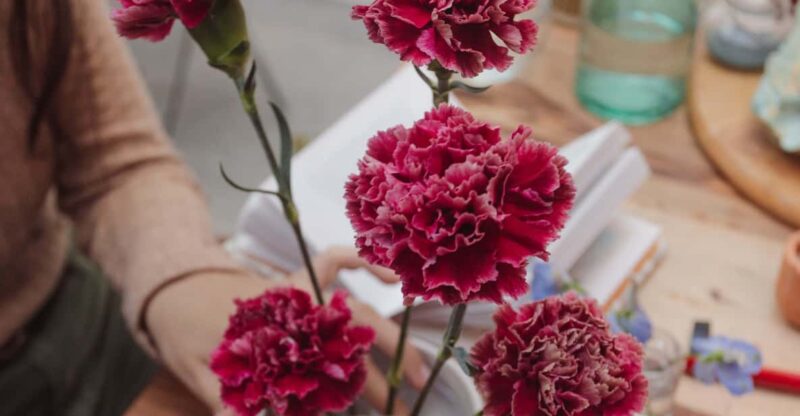 Chapinero: Floral Design, Herbalism and Illustration Workshop - Workshop Activities