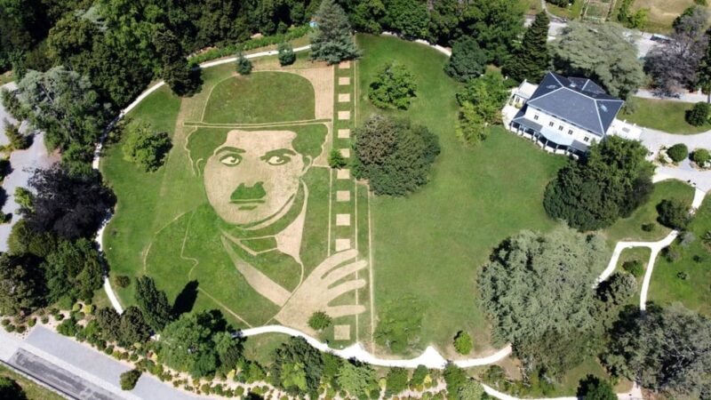 Chaplin'S World : Transfer From Geneva - Activity Overview