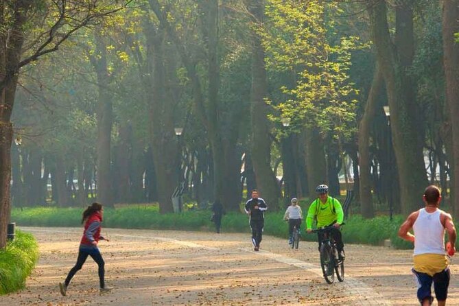 Chapultepec Park by Bike Guided Tour - Tour Experience and Feedback