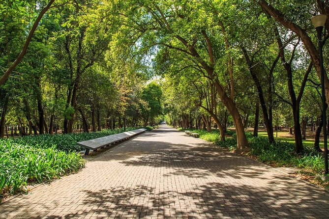 Chapultepec Park by Bike Guided Tour - Professional Guides