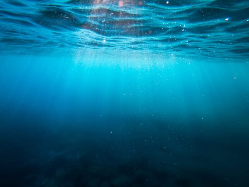 Charge Your Energy With Craniosacral Therapy - Craniosacral Therapy Session Details
