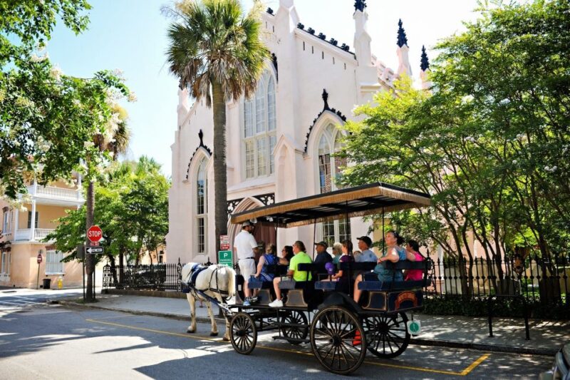Charleston: 1-Hour Carriage Tour of the Historic District - Customer Ratings and Feedback