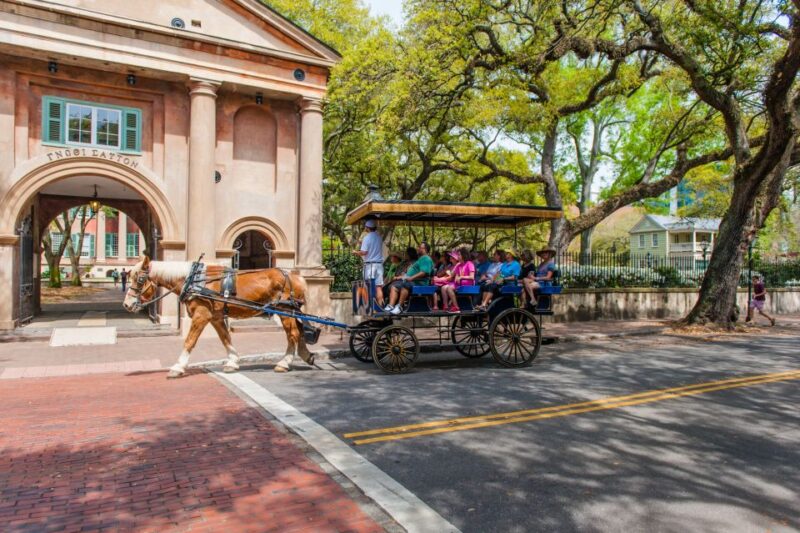 Charleston: 1-Hour Carriage Tour of the Historic District - Carriage Ride Through Iconic Landmarks
