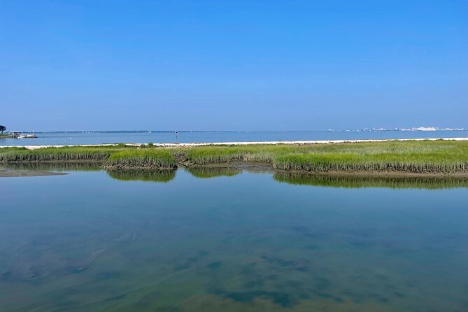 Charleston Bird Watching Tour - Stunning Bird Sightings