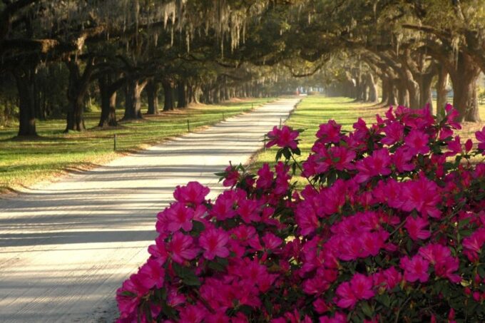Charleston: Boone Hall & Historic City Tour Combo - Cancellation Policy