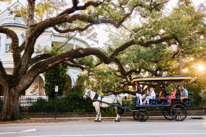 Charleston: Downtown Horse-Drawn Carriage Tour - An In-Depth Look at the Experience