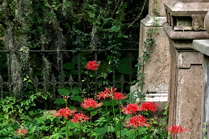 Charleston Family & Child-Friendly Nighttime Ghost Tour With Unitarian Graveyard - Accessibility and Participation