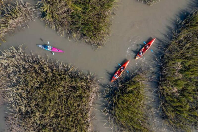 Charleston: Folly Beach Morning Kayak Dolphin Safari - A Gentle Introduction to Kayaking in Folly River