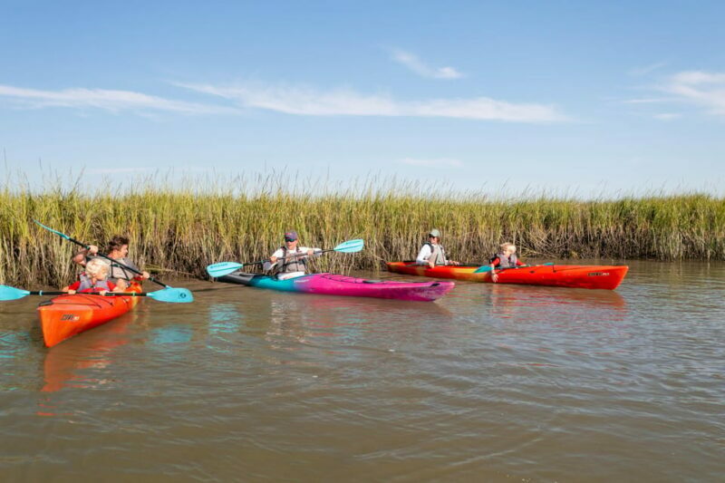 Charleston: Folly Beach Morning Kayak Dolphin Safari - Equipment and Comfort