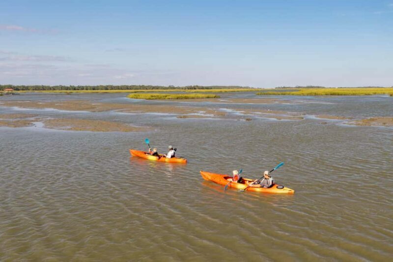 Charleston: Folly Beach Morning Kayak Dolphin Safari - Final Thoughts: Who Should Consider This Tour?